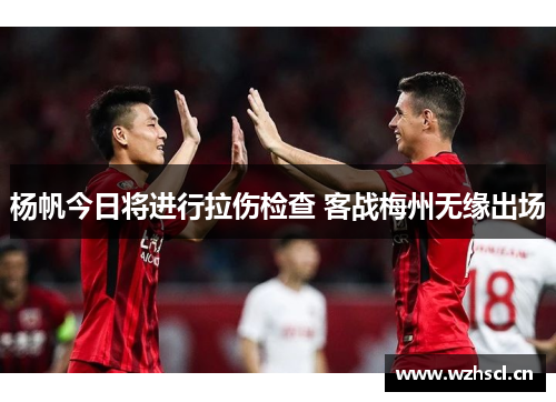 杨帆今日将进行拉伤检查 客战梅州无缘出场