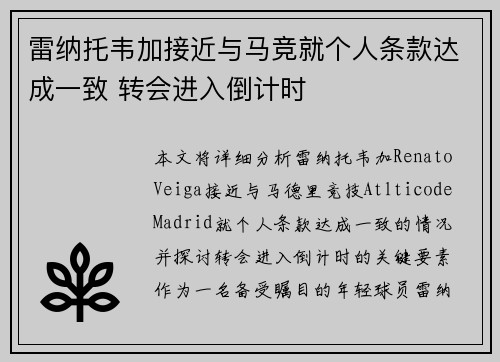 雷纳托韦加接近与马竞就个人条款达成一致 转会进入倒计时